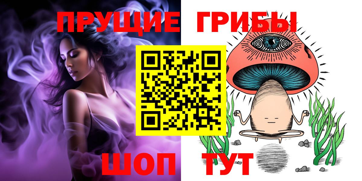 Кимры  Галлюциногенные грибы Cubensis  Вход с VPN 