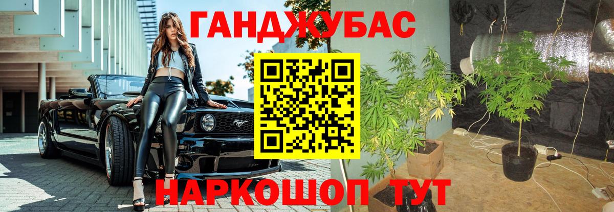 Марихуана планчик  Марихуана OG Kush  Вход с VPN  Кимры 